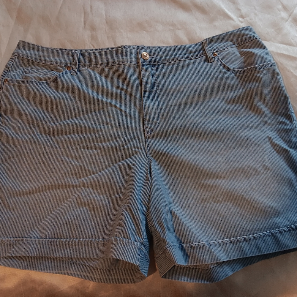 Gloria Vanderbilt Blue Striped Women's Shorts Sz 20W